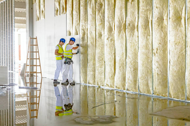 Best Insulation Maintenance and Repair in Calvert, TX